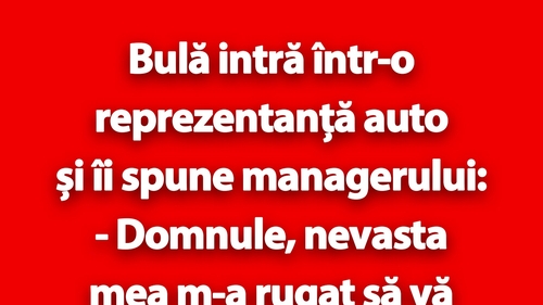 BANC | Bulă intră într-o reprezentanță auto