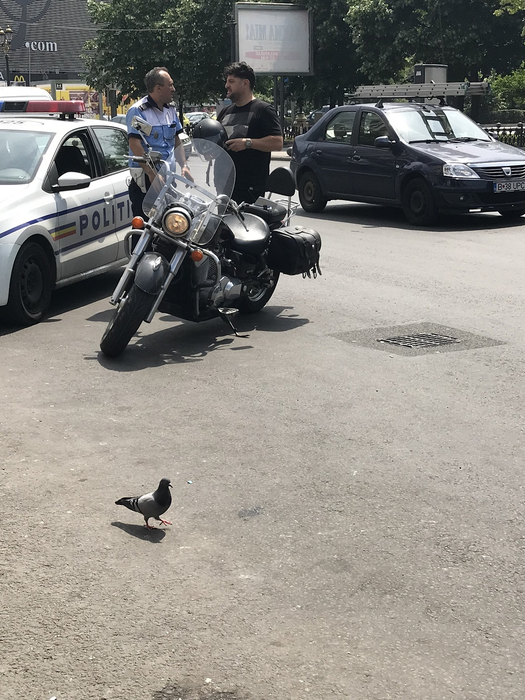 Tavi Colen, tras pe dreapta de polițiști!