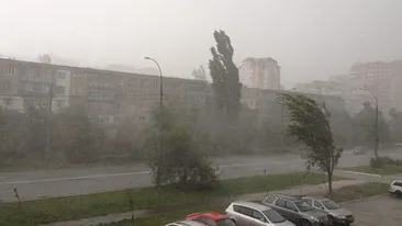 Cod galben de vijelii, în Capitală! Anunțul făcut de meteorologi