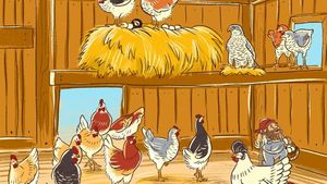 Test de logică | Găsiți toate cele 4 greșeli din această imagine!