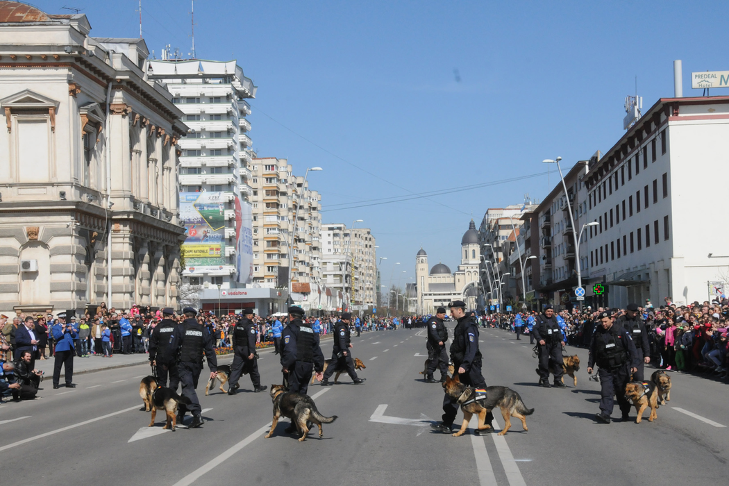 Chiar dacă nu au grade, câinii sunt colegi de nădejde ai  jandarmilor băcăuani