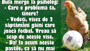 BANC | Bulă visează găini care joacă fotbal