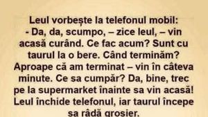 Bancul de weekend | Leul și taurul