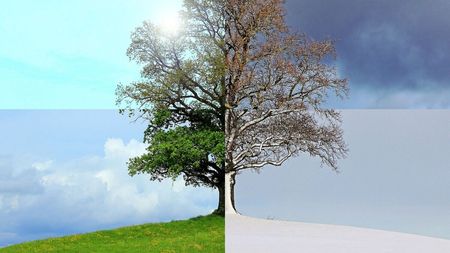 Orașul din România care a avut 2 anotimpuri în aceeași zi! De la iarnă, la primăvară și apoi iar IARNĂ