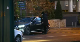 Galerie foto - poza 3