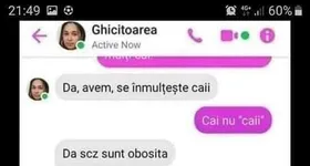 Galerie foto - poza 4