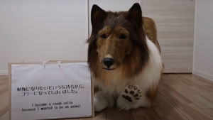 Să vezi și să nu crezi! Un japonez a cheltuit o avere ca să se transforme într-un câine