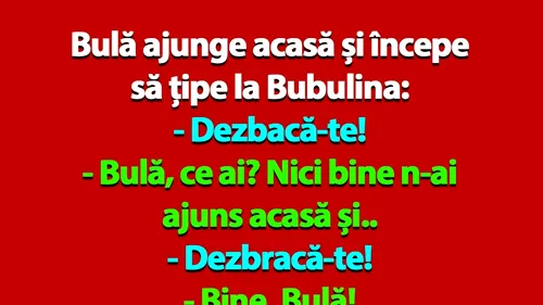 BANC | Bulă ajunge acasă și începe să țipe la Bubulina