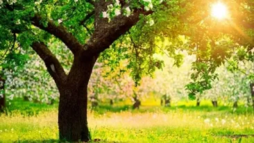 Meteo 5 iunie!. Afla cum va fi vremea vineri inainte sa iesi din casa