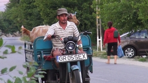 Inca o minune la Varasti! Asta e adevarata pozitie a caprei: cu coada pe sus, intr-o masinuta cu SEX in numar!
