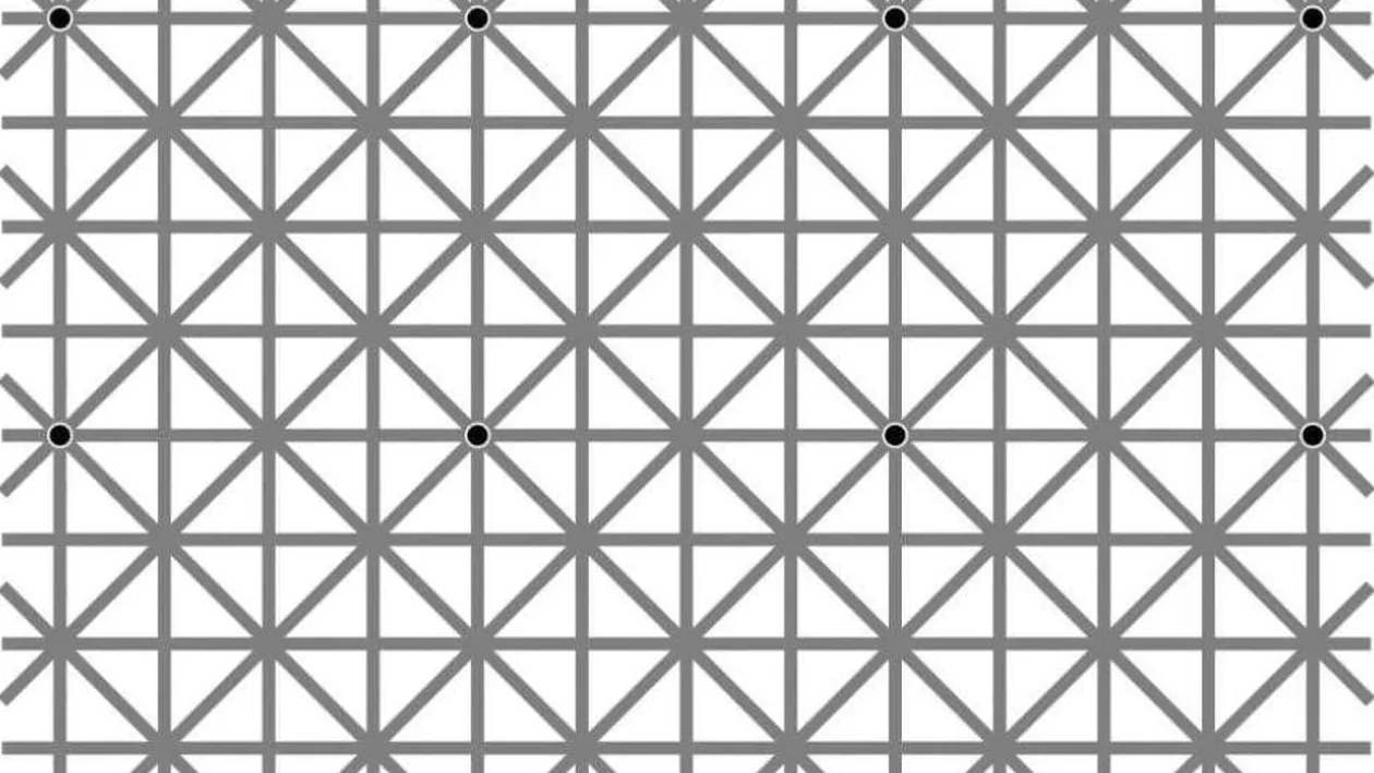Iluzia optică ce a păcălit 2 milioane de oameni. Câte puncte negre vedeţi în imagine?