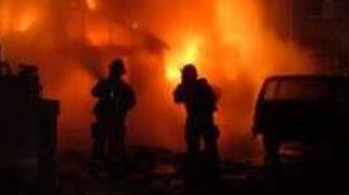 Peste 100 de animale au pierit intr-un incendiu