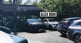 Galerie foto - poza 4