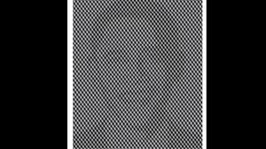 Iluzie optică virală | Ce personalitate se ascunde în această poză?