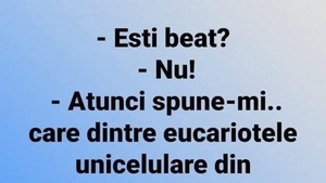 Bancul începutului de săptămână | "Ești beat?"