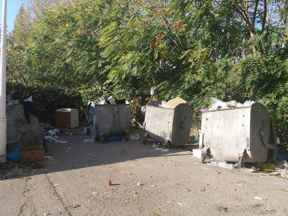 Este invazie de șobolani într-un cartier din Craiova. Directorul unui liceu a adus un câine să prindă rozătoarele