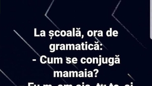 BANC | Ora de gramatică: "Cum se conjugă 'mamaia'?"