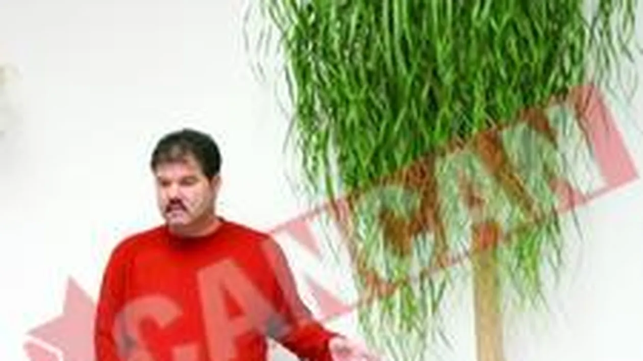 Si-a decorat vila cu plante exotice de 8.000 de euro