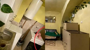 De-a râsu' plânsu'! Cât te costă să închiriezi o garsonieră cu aragazul lângă toaletă, în centrul Clujului