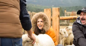 Galerie foto - poza 1