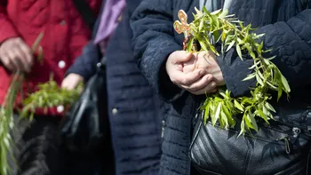 Salcia sfințită după Florii îți aduce noroc în casă. Unde trebuie să o păstrezi