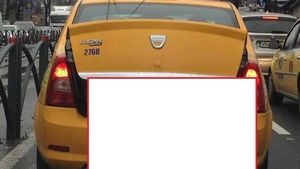 Imaginea zilei! Cum şi-a transportat un taximetrist porcul de Crăciun prin Bucureşti: "E normal să umbli aşa cu porcul prin oraş?"