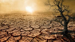 Țara în care seceta va reprezenta o problemă în 2023. Ce aliment urmează să se scumpească
