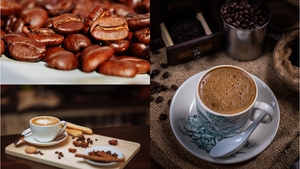 Producția tradițională de cafea, pe picior de dispariție! Descoperirea făcută de oamenii de știință