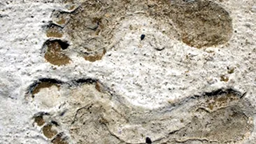 Un iesean si-a ars picioarele dupa ce le-a folosit ca sa amestece cimentul pentru casa!