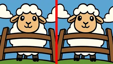 Test de logică | În maximum un minut, identificați toate cel 3 diferențe dintre aceste două oi