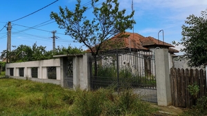 Ce se întâmplă cu fiul lui Gheorghe Dincă! Poliția l-a căutat la Deveselu, dar acesta…