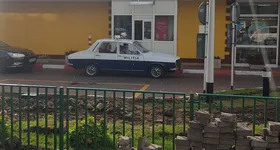 Galerie foto - poza 2