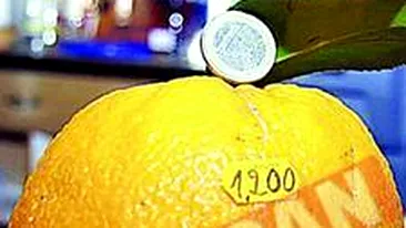 Portocala de 1,2 kilograme