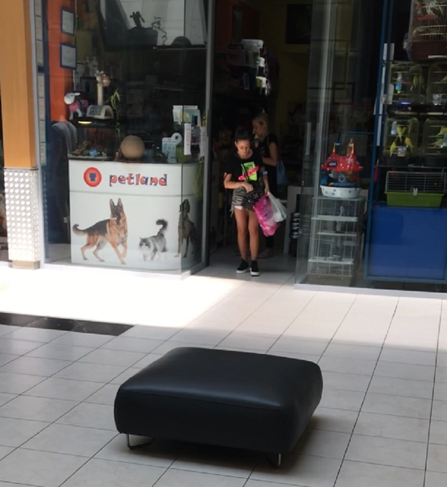 Vedeta a cumpărat mai multe produse de la pet shop