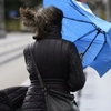 Cod galben de vânt în mai multe zone ale țării. Rafalele pot atinge până la 70 km/h