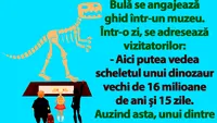 BANC | Bulă se angajează ghid într-un muzeu