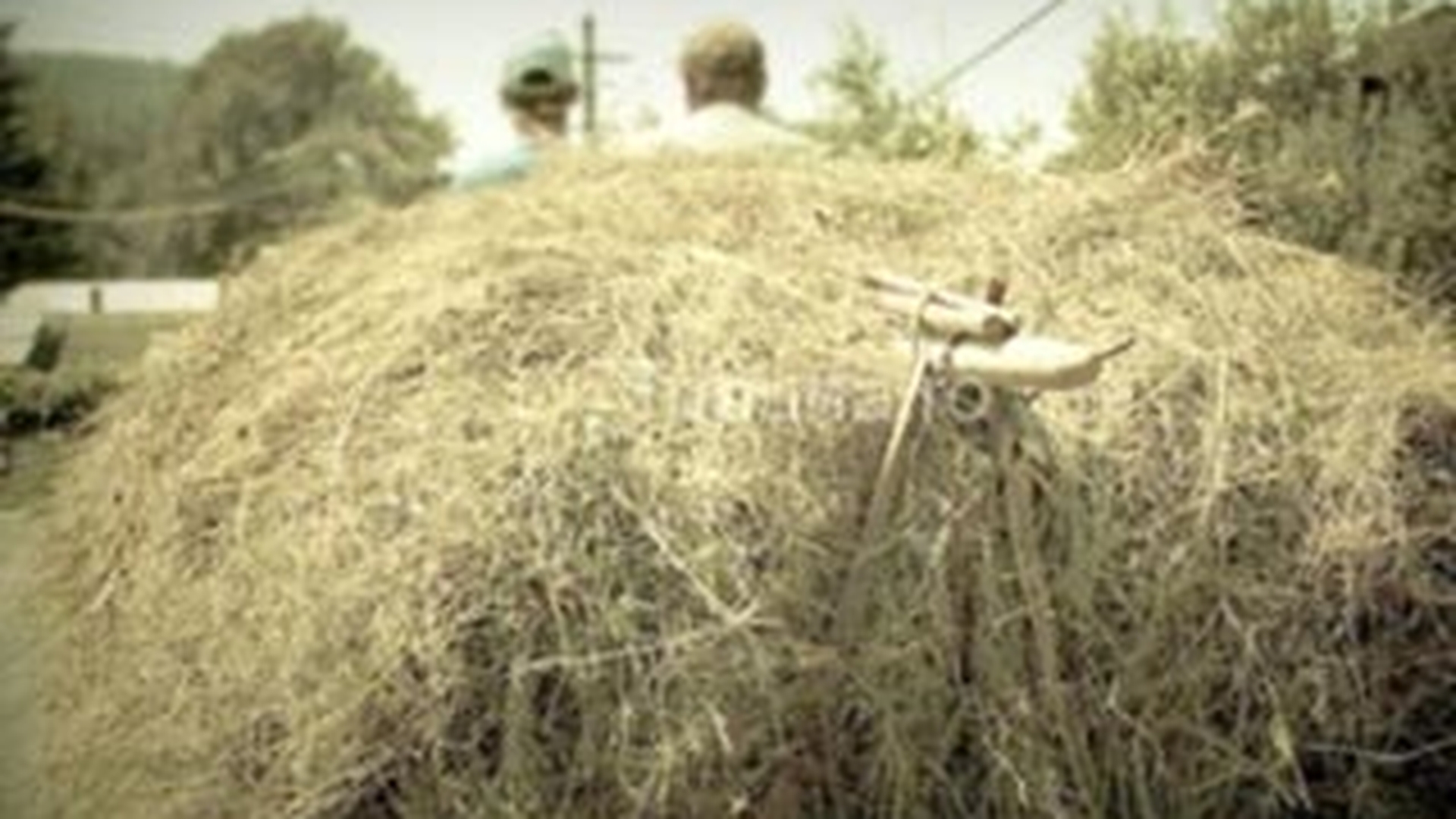 A cazut in cap de la trei metri, de pe fanul din caruta! Un barbat din Vaslui e in stare grava la spital!
