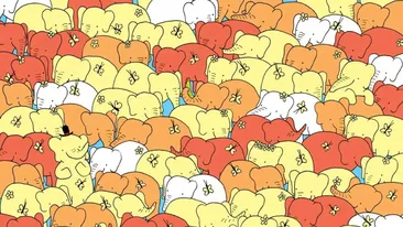 Test de perspicacitate | Numai geniile găsesc inima care se ascunde în poză, în 28 de secunde