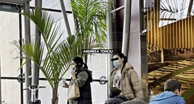 Galerie foto - poza 2