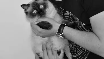 Baiatul bun si baiatul rau – povestea fabuloasa a celor doi moldoveni care l-au turnat pe Salam!