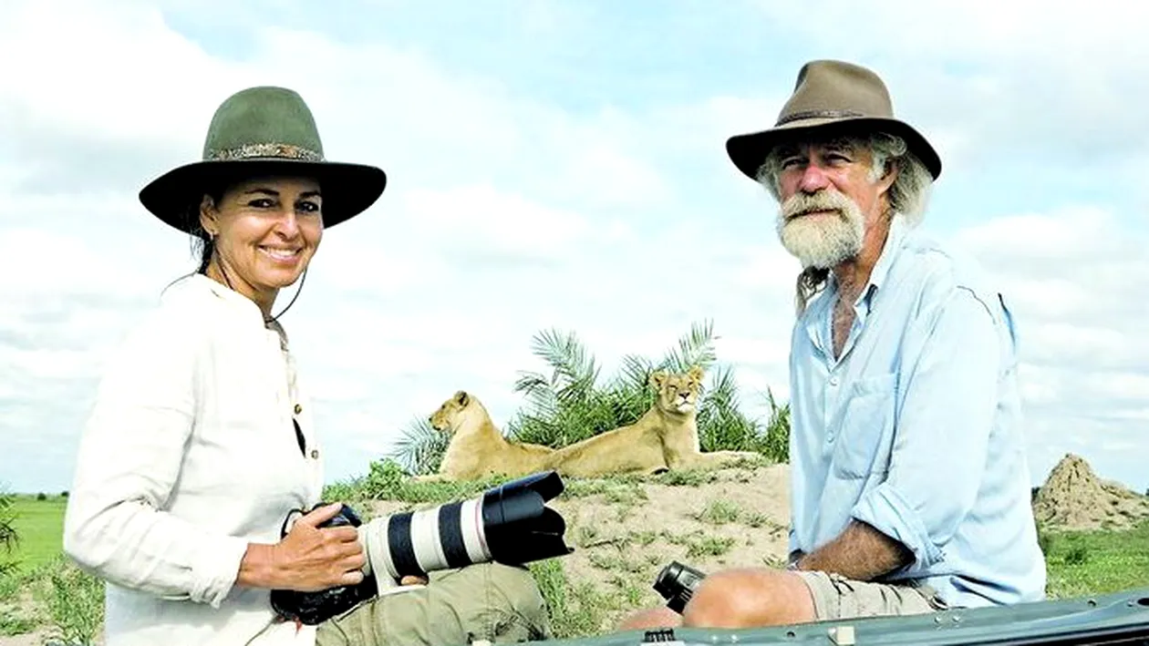 Exploratorul Derek Joubert a filmat intre feline: Aveam pantalonul patat cu sangele leilor