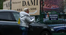 Galerie foto - poza 2