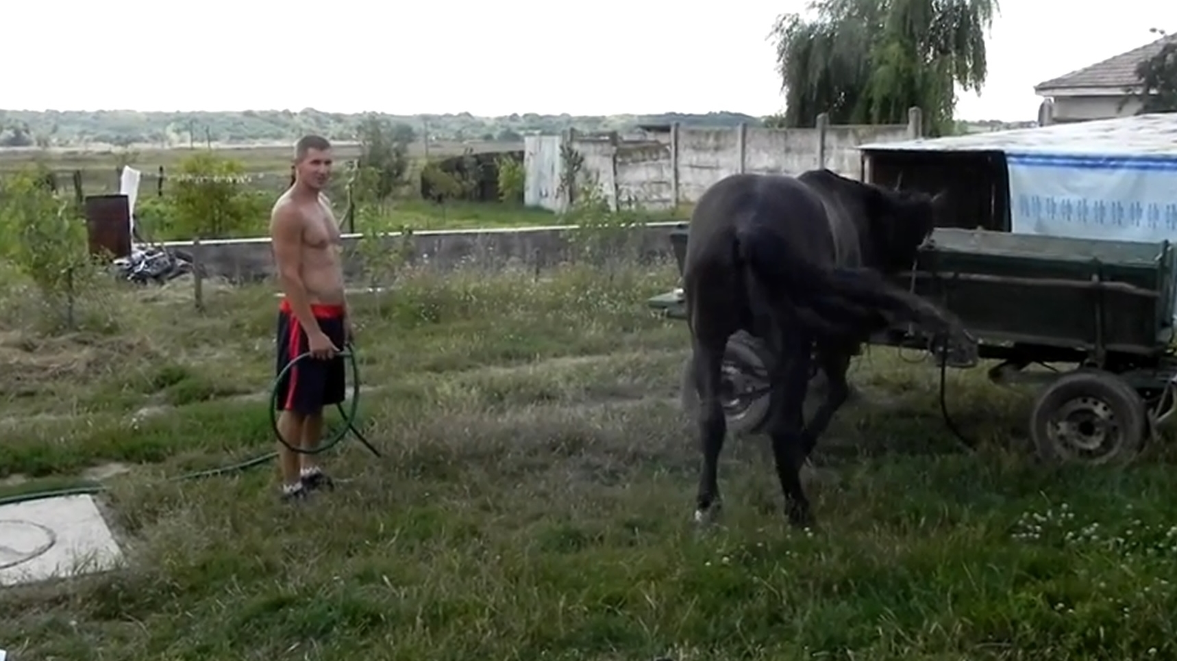 Face ce face si ajunge in centrul atentiei! Afla ce face tatal “micului Hercule”, Iulian Stroe, cand nu isi antreneaza copiii!