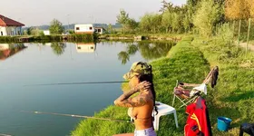 Galerie foto - poza 1