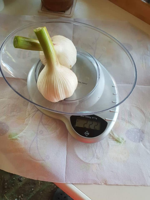Usturoiul cultivat de Luminița are mare căutare