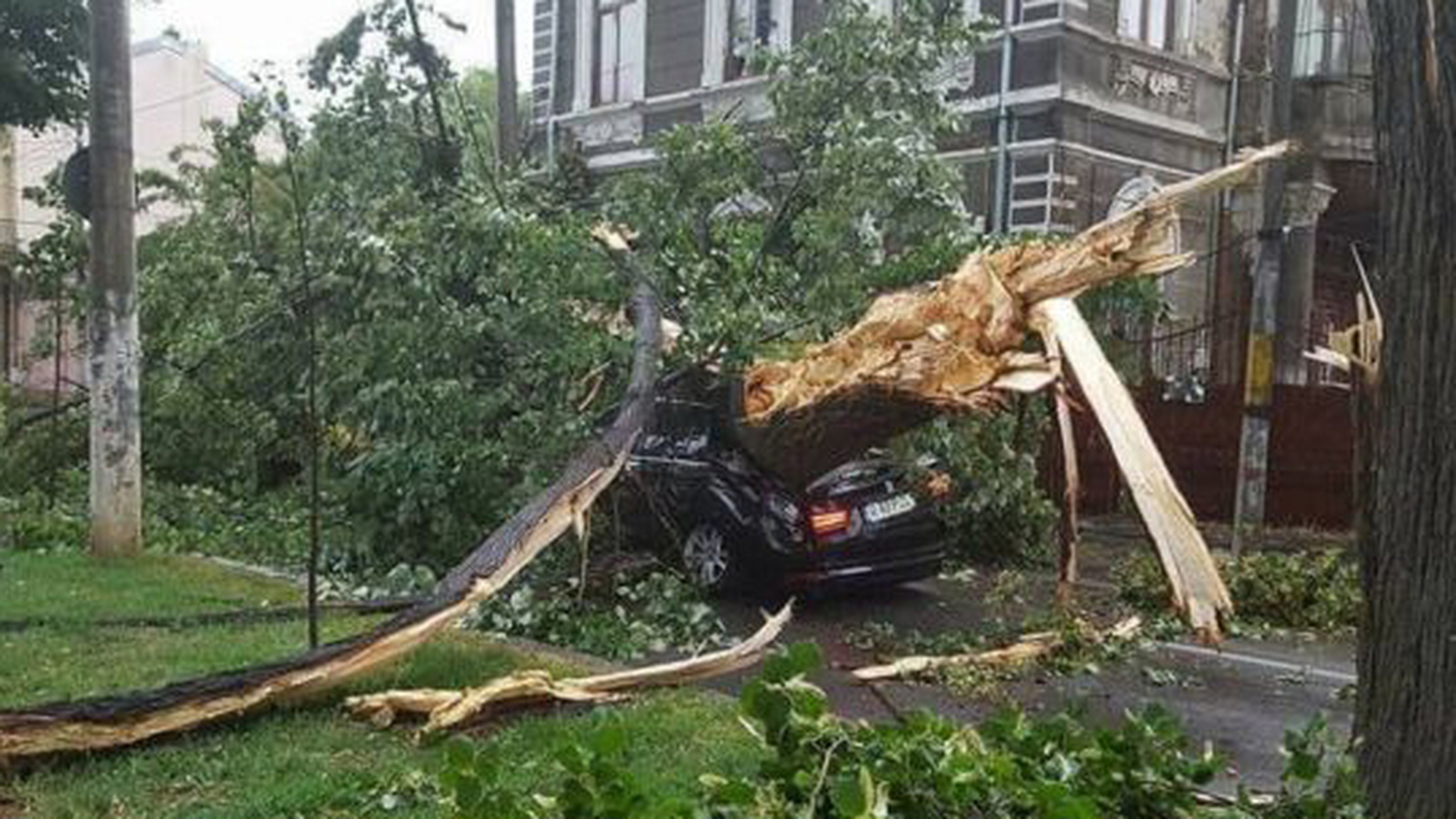 O femeie a murit în Brăila, după ce un copac a căzut peste ea! 