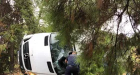 Galerie foto - poza 1