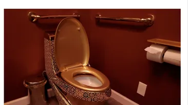 Situație surprinzătoare în SUA! Un bărbat a furat un vas de toaletă din aur de 18 carate