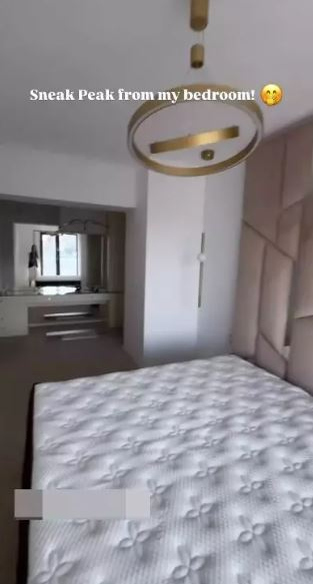Cum arată apartamentul Ramonei Olaru după renovare. Are aer condiționat cu display și litieră „OZN”
