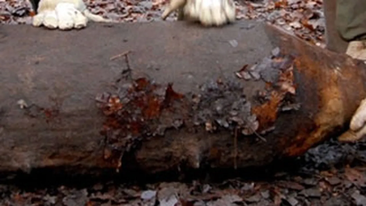 Dezamorsarea unei bombe a dus la evacuarea a 6.000 de persoane